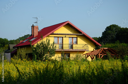 Obraz na płótnie A new rural home with a blue sky and green bushes w salonie