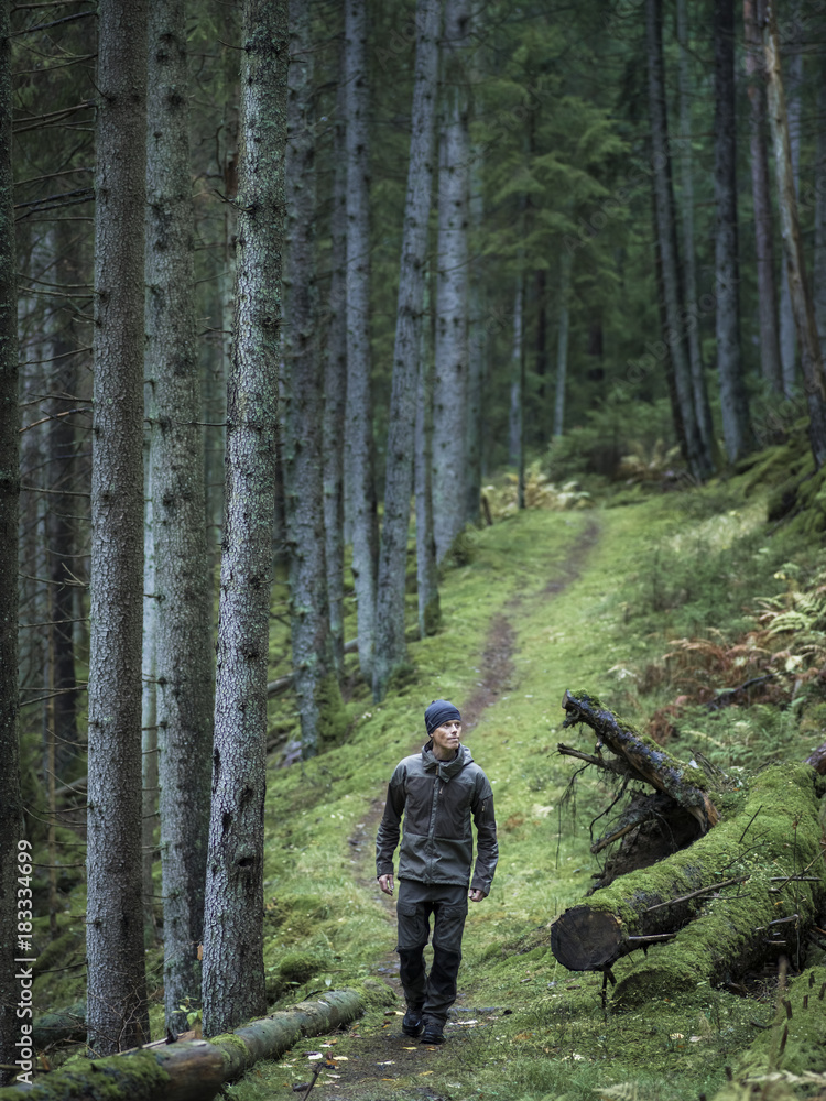 Man hiking through forest Man hiking through forest