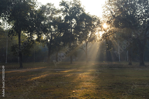 Winter with morning sun shade through tree