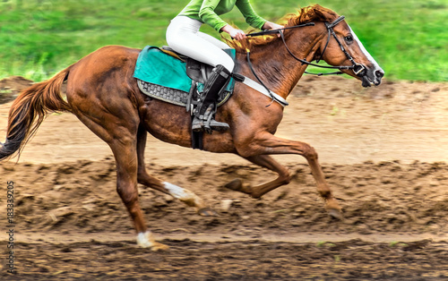 Race horse in run.  A horse with a jockey runs along the racetrack track.   © twinlynx