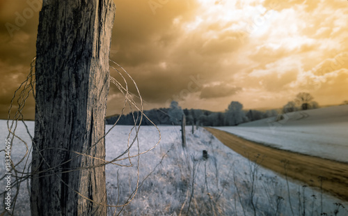 Scenic Close-Up Of Tree Trunk Fence At A Path Through A Beautiful Landscape