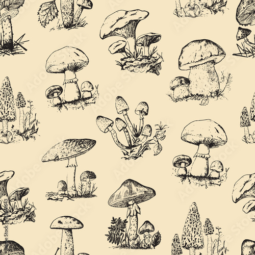 Mushroom set hand drawn engraved. seamless pattern. champignon, chanterelles, honey fungus, fly agaric, amanita, common stinkhorn, penny bun, red-capped scaber stalk for menu, packaging.