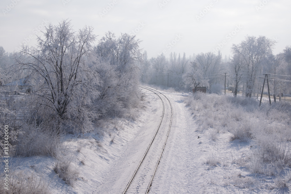 Scenic view of railway along snowy trees