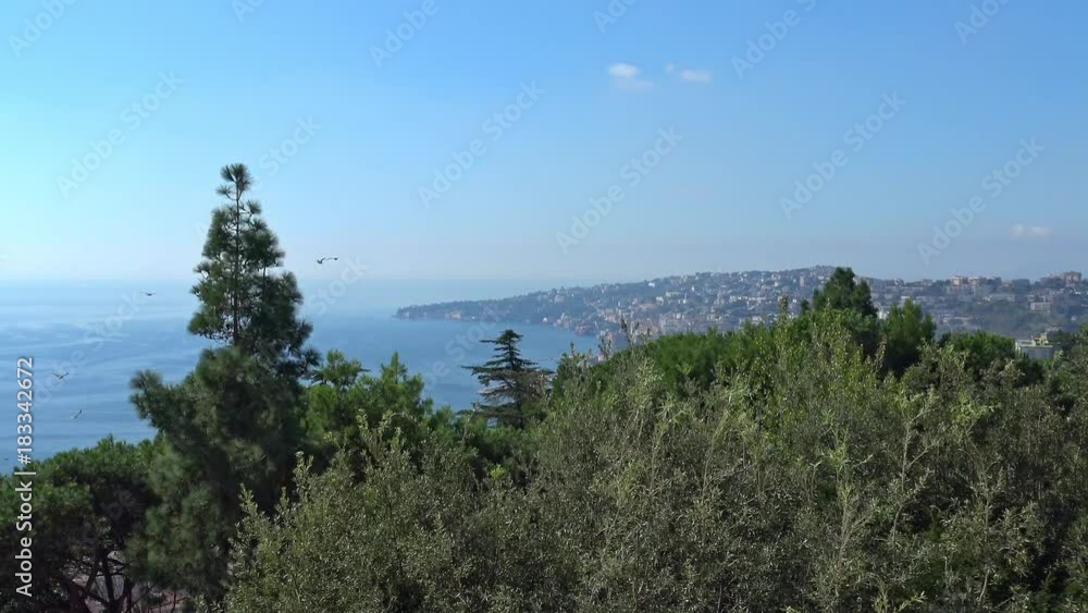 4K Napoli. Panorama e volo di uccelli in slow motion osservato dal giardino pensile della Certosa di San Martino. 4K Napoli. Panorama e volo di uccelli in slow motion osservato dal giardino pensile della Certosa di San Martino.