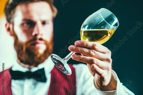 Schilderij op canvas Sommelier examining white wine