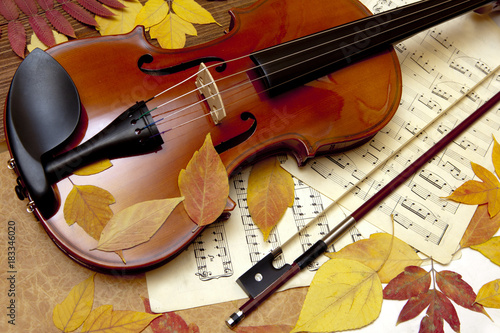 Tableau sur toile Violin in vintage style