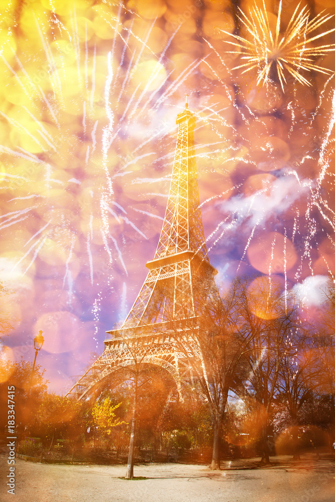 celebrating New Year in the city - Eiffel tower (Paris, France) with fireworks