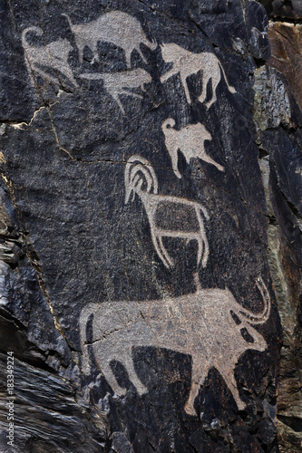 Foto Palaeolithic petroglyphs in the famous Sarmish Gorge