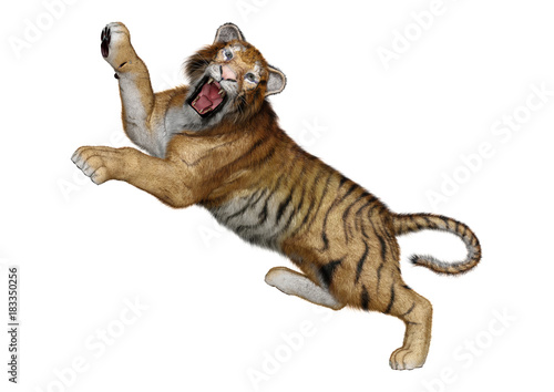 Fototapeta Naklejka Na Ścianę i Meble -  3D Rendering Big Cat Tiger on White