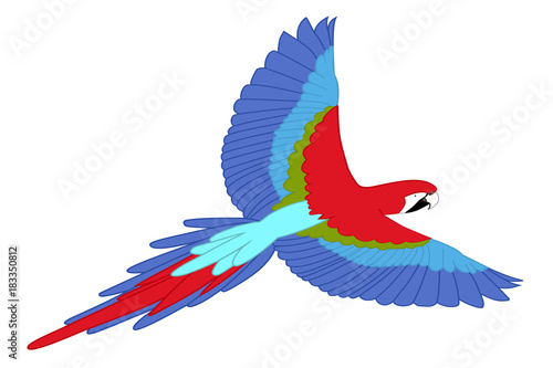 Perroquet en vol sur fond blanc (illustration)