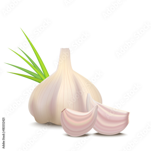 Realistic Detailed 3d Whole Garlic and Cloves. Vector