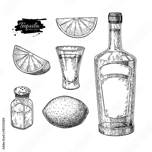 Tequila bottle, salt shaker and shot glass with lime. Mexican alcohol drink vector drawing