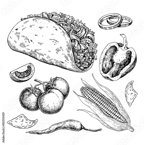 Taco drawing with vegetable. Traditional mexican food vector
