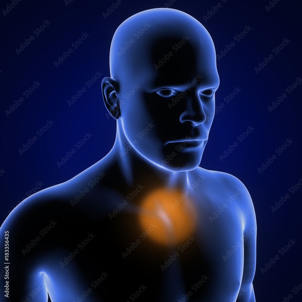 Fototapeta premium 3d illustration of human body pains