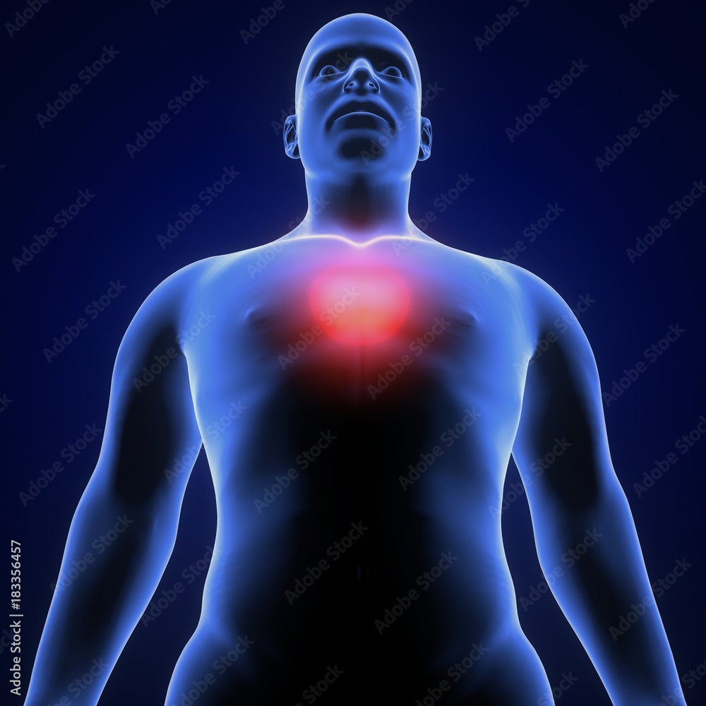 3d render of human body stomach pains 3d render of human body stomach pains