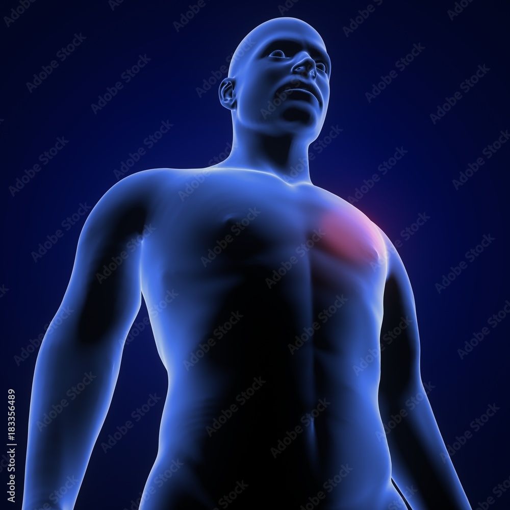 3d render of human body stomach pains 3d render of human body stomach pains