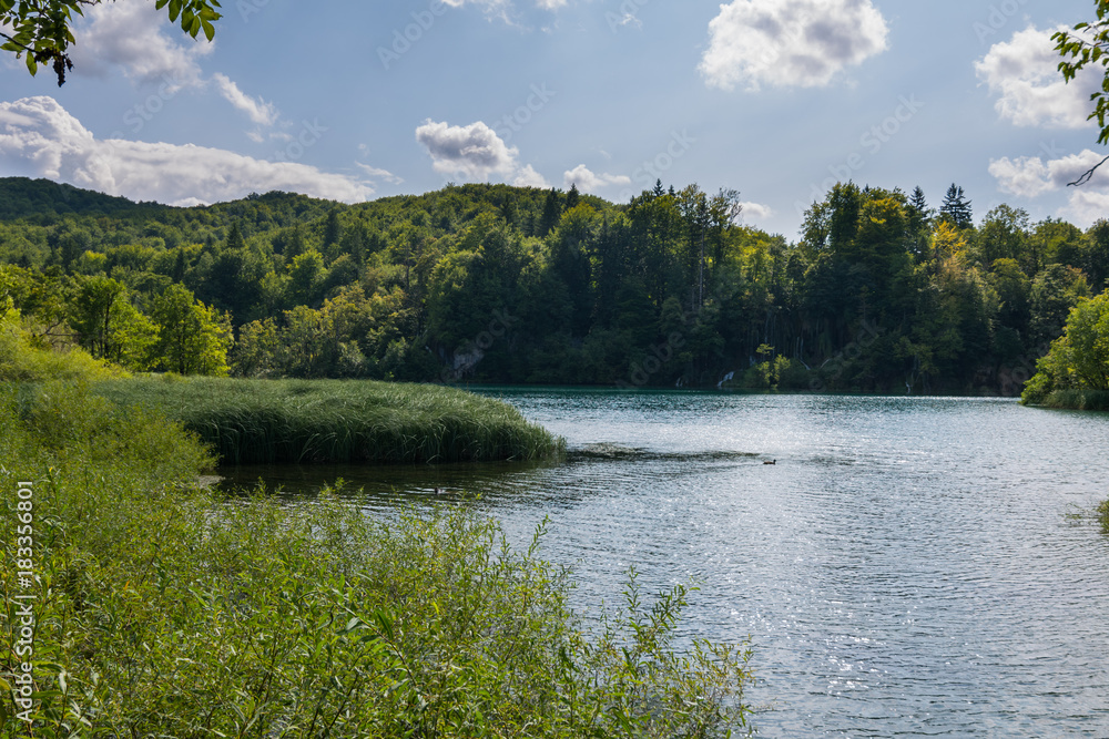 Fototapeta premium Plitvice Lakes National Park, Croatia, Balkan Peninsula, Europe