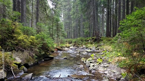 A view of a mountain stream that flows down a slope of stones