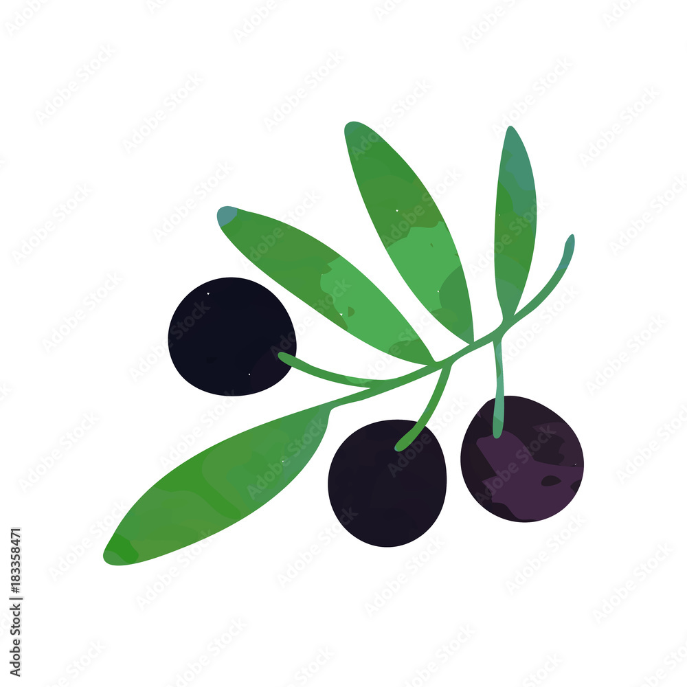 Decorative branch with black ripe olives and green foliage. Natural and healthy food concept. Isolated flat vector design element for book illustration, agriculture company logo or oil label Decorative branch with black ripe olives and green foliage. Natural and healthy food concept. Isolated flat vector design element for book illustration, agriculture company logo or oil label