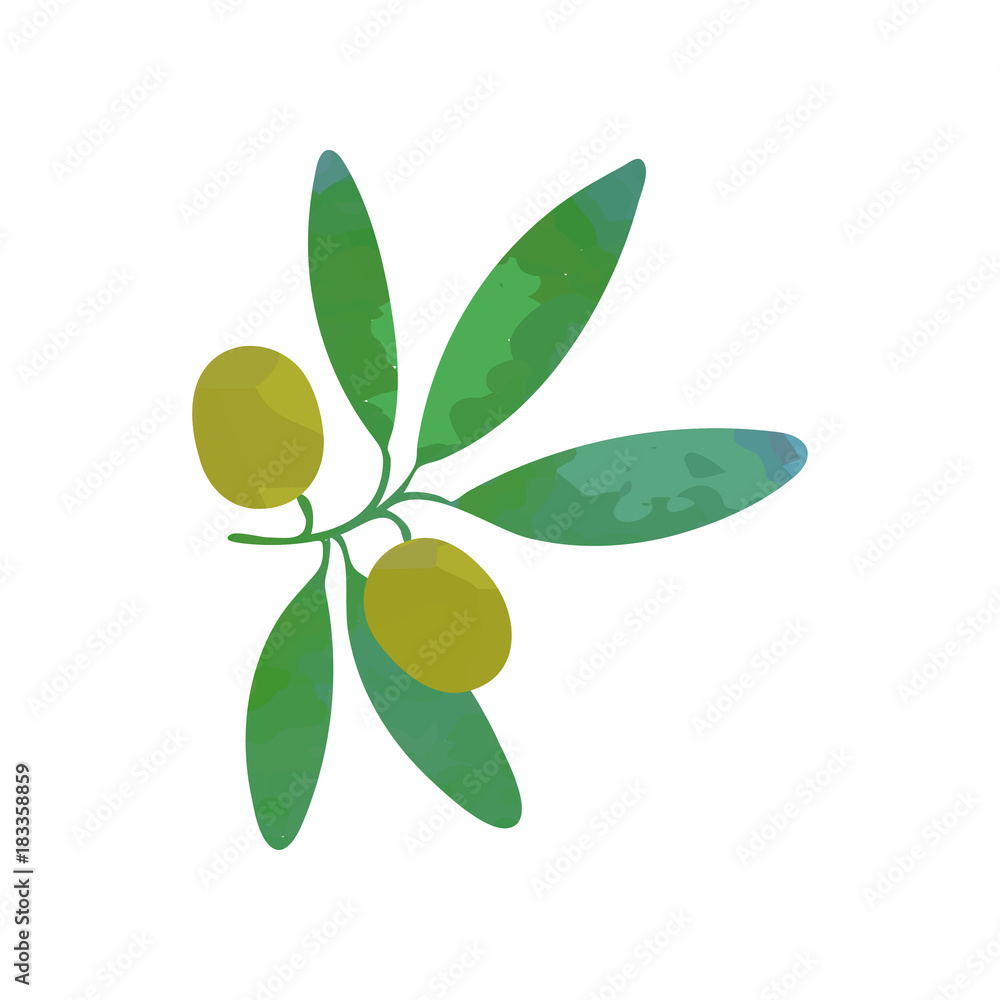 Clipart of branch with green olives and leaves. Traditional symbol of peace. Organic food concept. Design element for restaurant menu, card or product label. Isolated flat vector illustration Clipart of branch with green olives and leaves. Traditional symbol of peace. Organic food concept. Design element for restaurant menu, card or product label. Isolated flat vector illustration