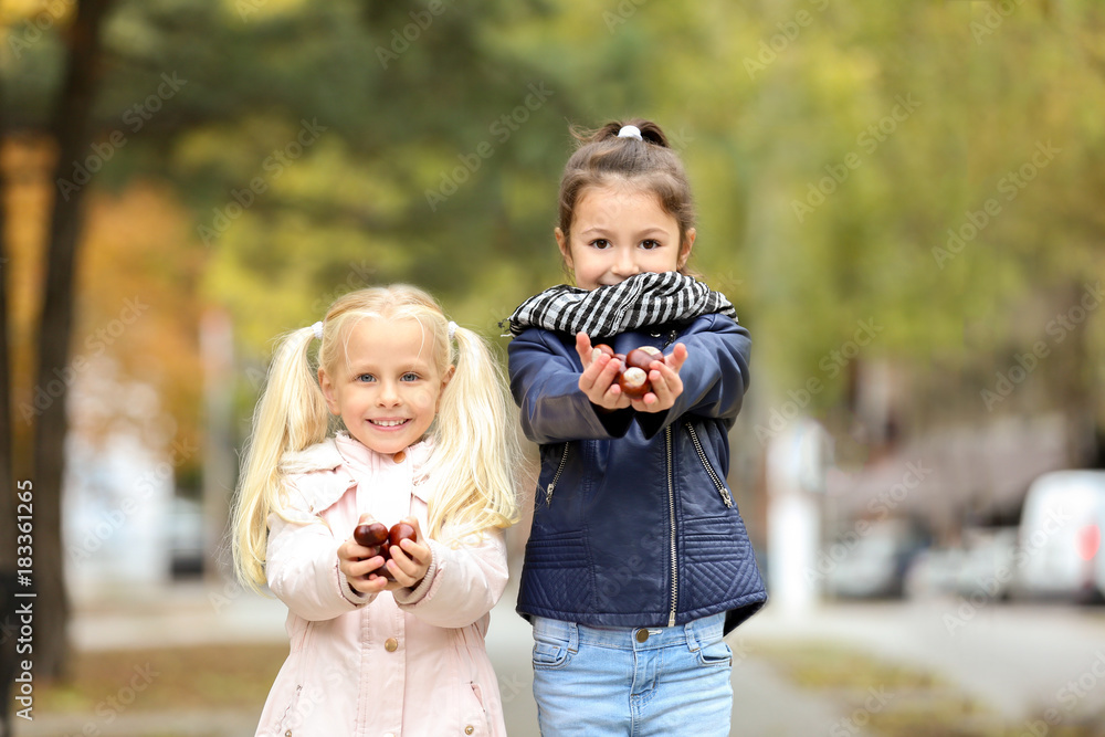 Fototapeta premium Cute little girls in outwear with chestnuts outdoors