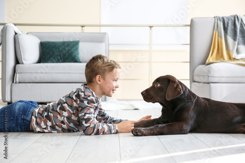 Cute little boy with dog on...
