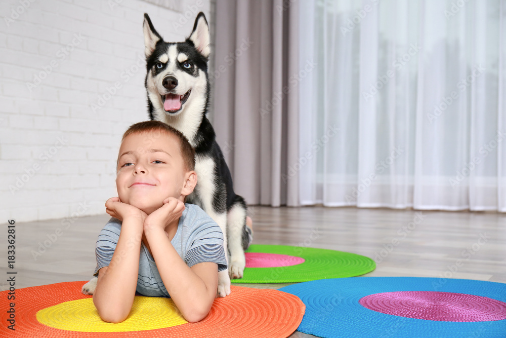 Cute husky puppy and little boy on floor at home