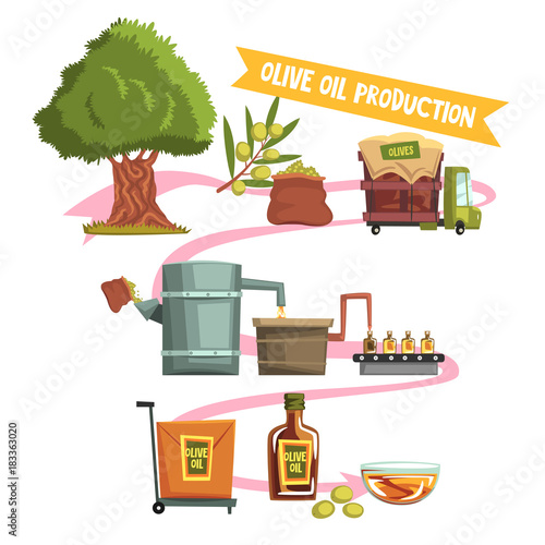 Process of olive oil production from cultivation to finished product: growing tree, harvesting, sending to factory, pressing, bottling, packaging, transportation
