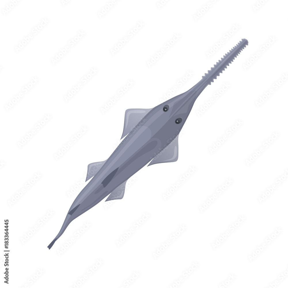 Fish saw sea animal. Deep ocean fish and shellfish. Fish saw sea animal. Deep ocean fish and shellfish.