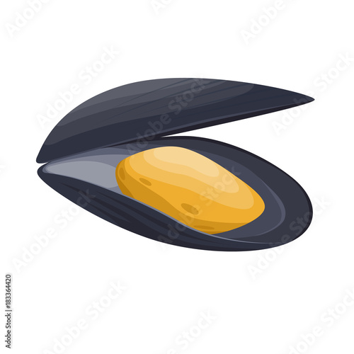 Fresh, tasty seafood appetizing mussel. Product, seafood for cooking, fishing.