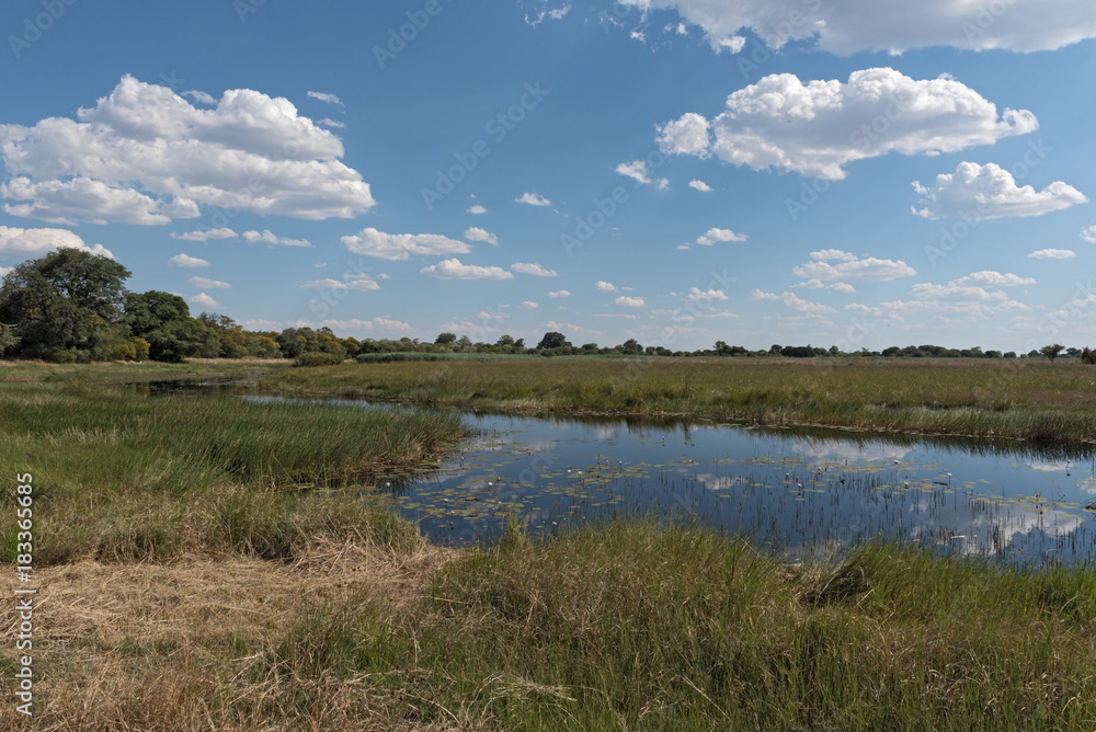 Linyanti river and marshes, Namibia Linyanti river and marshes, Namibia