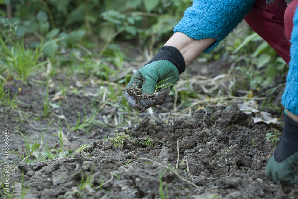 weeding garden gloves with claws