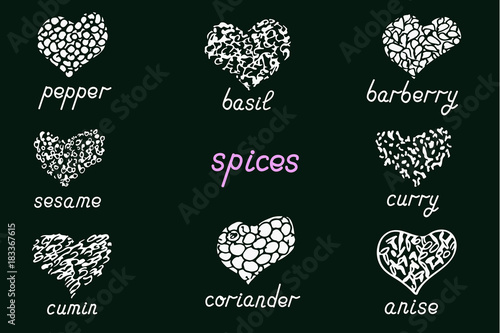 Spices. Pepper, curry, barberry, cumin, coriander, anise, sesame, basil. Hand drawn vector chalk sketch.