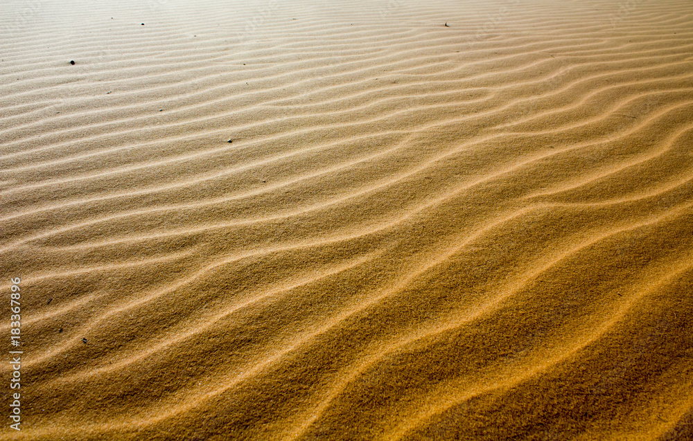 Fototapeta Beauty of Landscape desert, Red Sand Dune Mui Ne in Vietnam