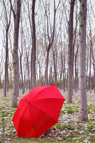 kırmızı şemsiye