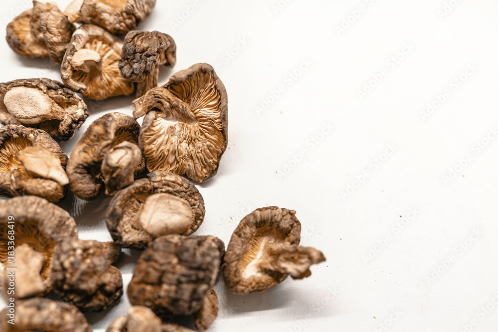 Dry Mushrooms isolated on white background. Dry Mushrooms isolated on white background.