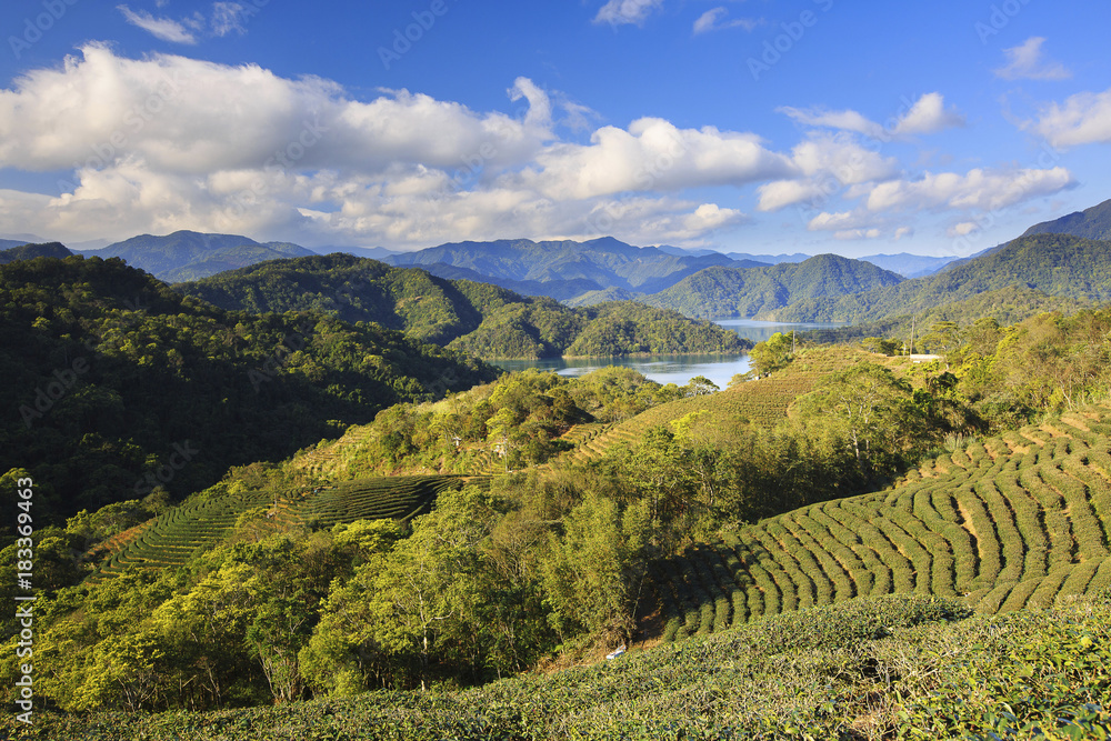 beauty in Taiwan