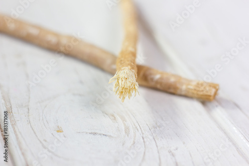 Miswak or siwak - arabian toothbrush for tooth cleaning on white. photo