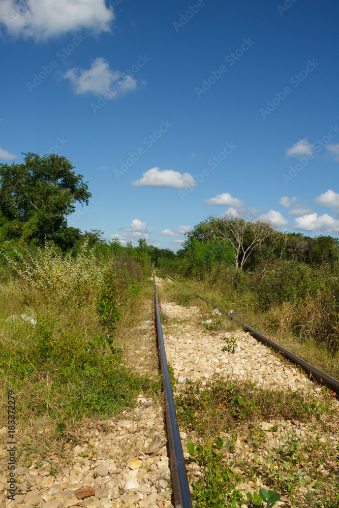 train tracks