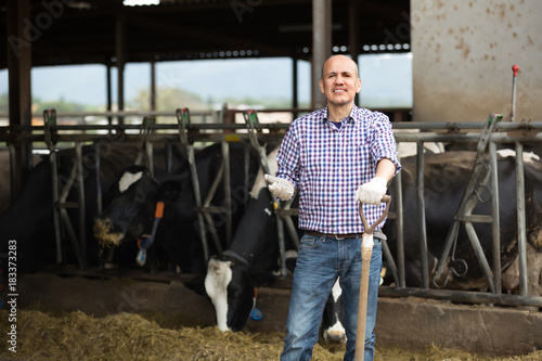 Positive man farm worker feeding cows with hay