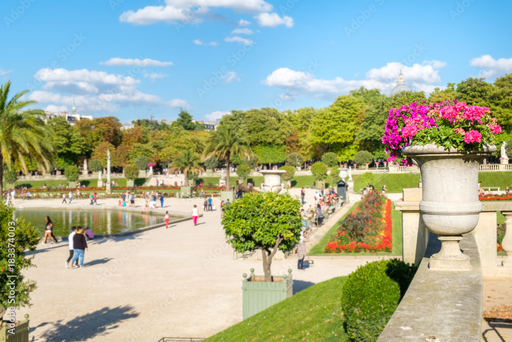 Fototapeta premium The Luxembourg Garden in Paris