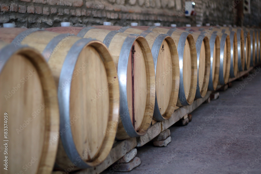Set of wooden barrels in the winery cellar