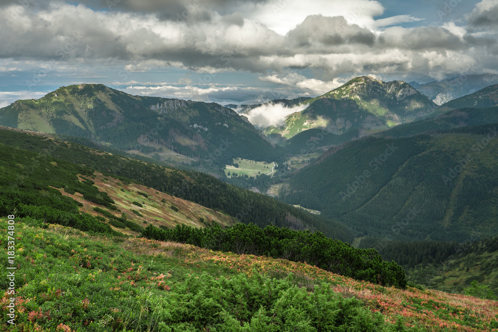 Obraz premium ZAKOPANE