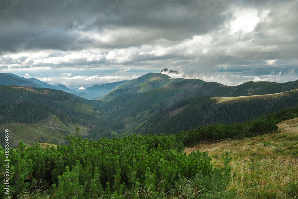 Fototapeta premium ZAKOPANE
