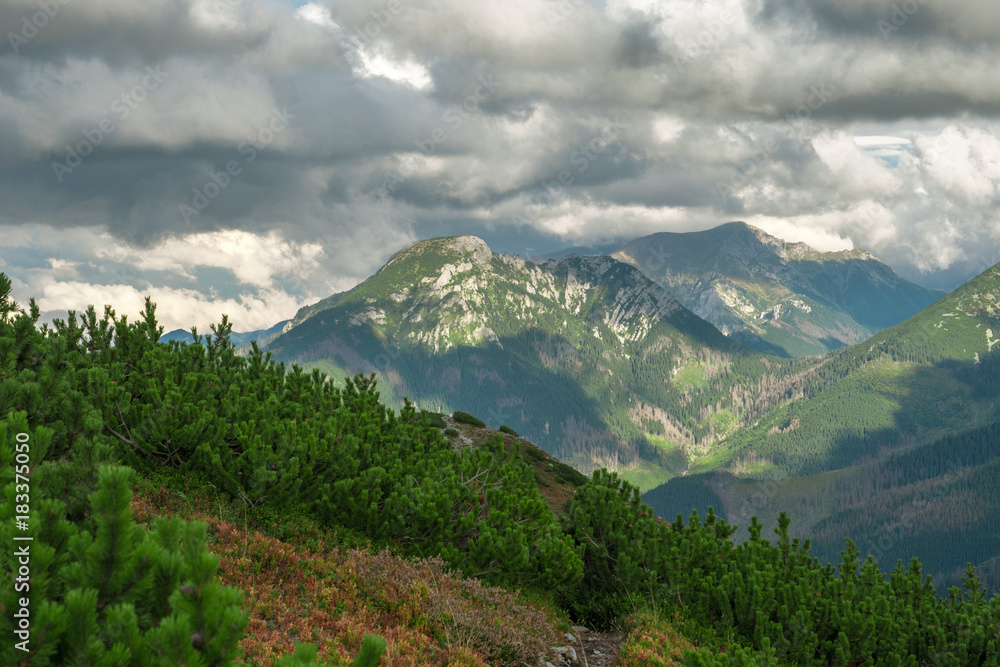 Obraz premium ZAKOPANE