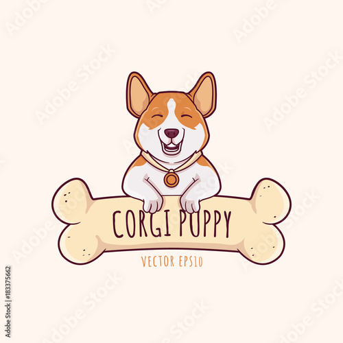 Cute little pembroke welsh corgi dog puppy smiling with large chewing bone vector cartoon illustration