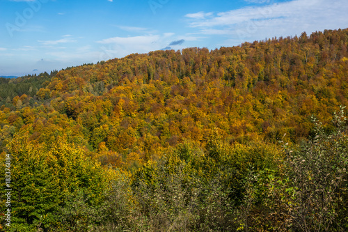 Forest near lake Solinskie in autumn in Solina, Bieszczady, Poland
