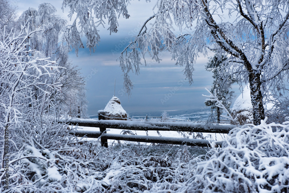 Hoarfrost and snow on birch trees. Winter wonderland