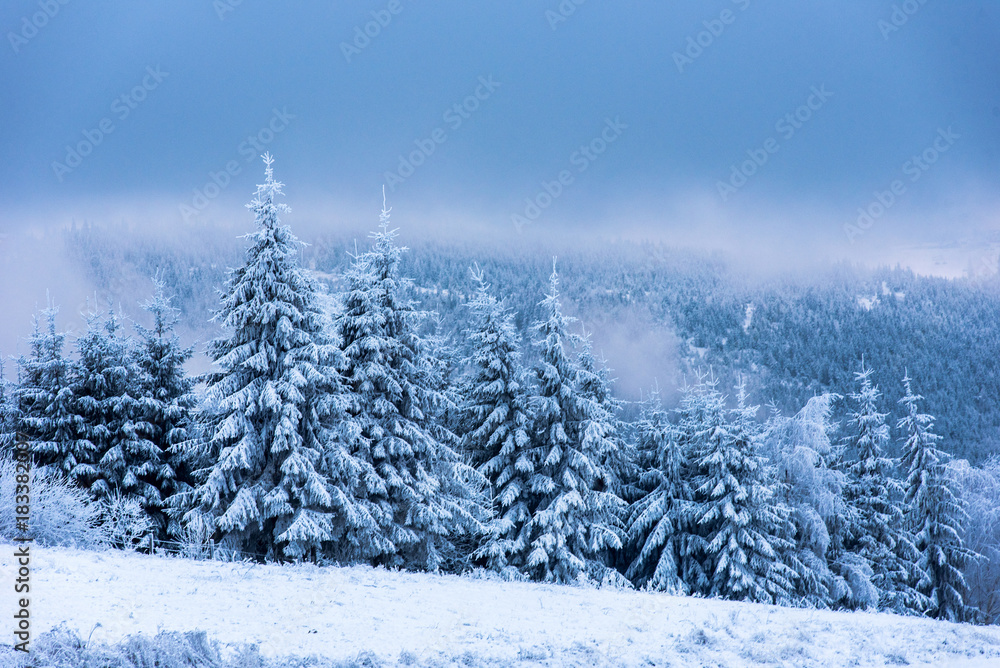 Winter landscape with snowy fir trees and forest. Christmas Winter landscape with snowy fir trees and forest. Christmas