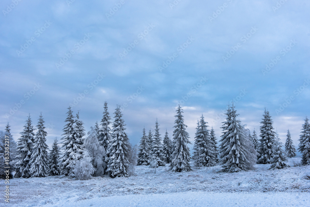 Naklejka premium Beautiful winter landscape with snow covered trees